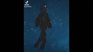 SCP 8648 (SCP FOUNDATION)