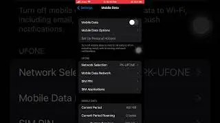 How  to find sim services in iPhone