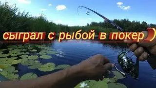 Ловля щуки летом. Пробую спиннинг Покер Нарвал.