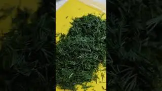 Сохраняю свежий укроп на зиму//