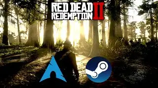 Red Dead Redemption 2 on Arch Linux | GTX 1080 | 4K