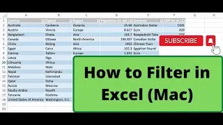 How to filter in Excel (Mac)