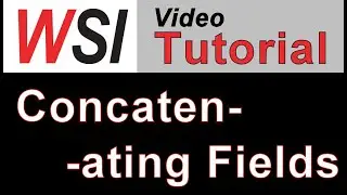 Concatenating Fields in Access to Save Form Space