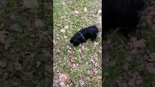 Прогулки на природе