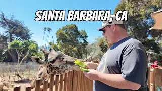 Amtrak Pacific Surfliner 🚆 Is It Worth It? Our Experience