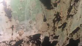 Тонировка!