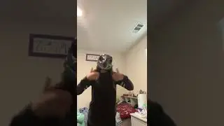 #dinomask
