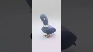 Pigeon 3D character rig 