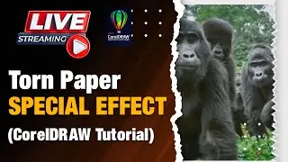 cara membuat efek sobekan kertas di coreldraw - belajar coreldraw