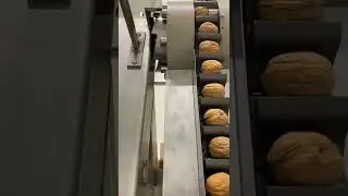 Walnuts cracking machine