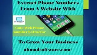 How to Extract Phone Numbers from a website ?