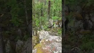 Карелия. Каньон реки Суна.