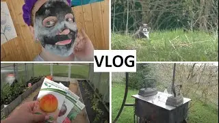 Дачный VLOG 🏡 Майские забавы 