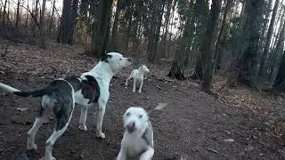 Учись сынок, учись