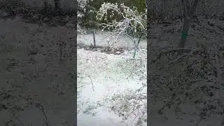 Весна  07.05.2024 ❄️