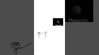 Professional animator 