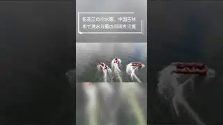 松花江の増水期、中国吉林市で洪水対策の訓練を実施
