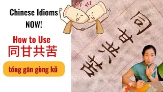 A Beginner's Guide: The Stroke order and Symbolism of 同甘共苦 in Chinese Culture