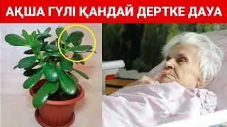 99% адам АҚША ГҮЛІНІҢ адам АҒЗАСЫНА қалай әсер ететін білмейді...
