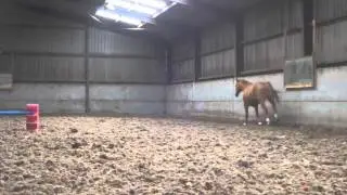 Lucas free jumping (raws)