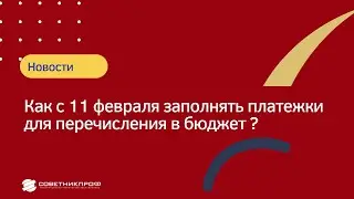 Как с 11 февраля заполнять платежки для перечисления в бюджет? 