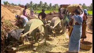 Energy from Agro waste