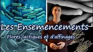Des bactéries dans notre Lait !!! Ferments lactiques et d'affinages.