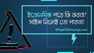 Career Insights - Trailer