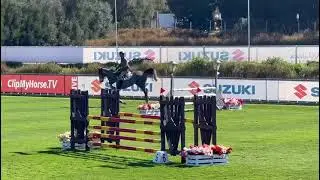 Fape Leestone, gelding 2018 by Cornet x Cascarillo