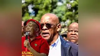 Julius Malema is my comrade, Ace Magashule sings praises of the EFF leader!!
