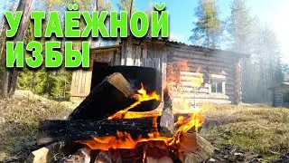 Охота на тетерева. Таёжный быт у избы.