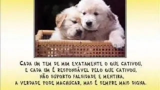 O Valor do amor