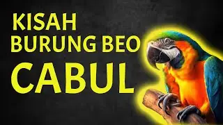 KISAH BURUNG BEO CABUL | Motivasi Wong Edan