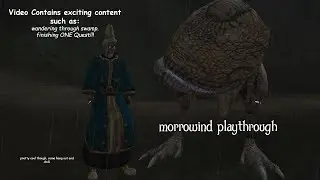 Hanging with my N'wahs | Morrowind part 1