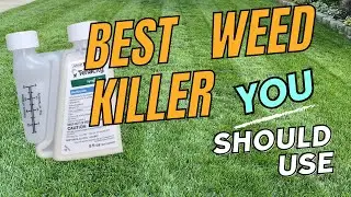 How to Apply Tenacity Weed Killer: Easy Step-by-Step Guide for Beginners