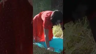 Evelina shows yoga for beginners in the forest 