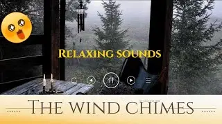 Wind Chimes ringing with pleasant breeze| Perfect combo for study and relaxing