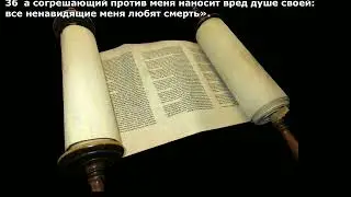 Притчи царя Соломона. Глава 8