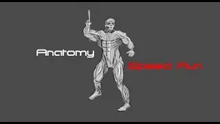 Anatomy Drawing - Speed Run