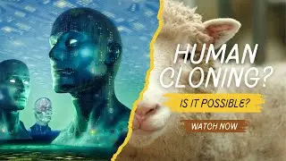 Can Humans Be Cloned? The Science and History of Cloning Explained