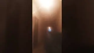 кажется кошка почуствала что вы не подписались