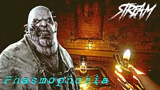 ФАЗМА СТРИМ 🦴 PHASMOPHOBIA