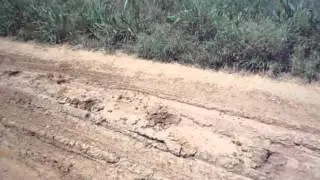 MOV01198
