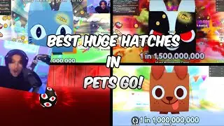 BEST HUGE HATCHES IN PETS GO! (Youtubers)