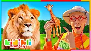Découvrons les Animaux de la Savane ! | Vidéos Educatives pour Enfants | Kidibli
