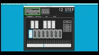 12 Step Software Editor Version 2.0 Tutorial : Introduction