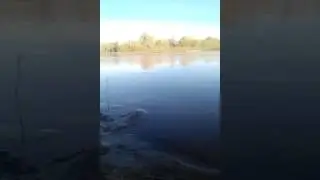 Каратал. День победы! проверка закидов