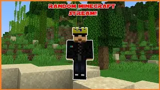 random MINECRAFT stream