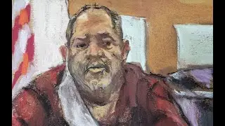 Харви Вайнштейн не признал себя виновным в изнасиловании в отношении пяти женщин в Лос Анджелесе