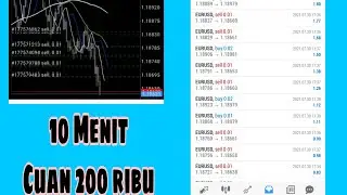 profit Trading dengan indikator dinapoli level || Profit Konsisten